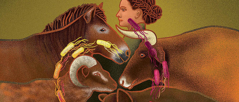 Tier - Mensch - Bakterien - Interaktionen