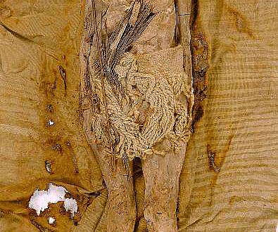 Die "Schöne von Xiaohe“ ist eine etwa 4000 Jahre alte Mumie