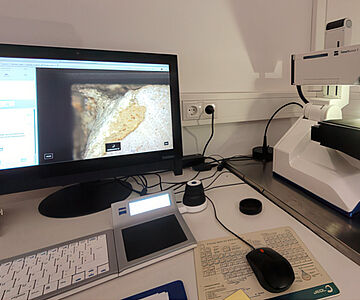 Auswertung der Beschaffenheit und Eignung von Steinwerkzeugen durch experimentelle Versuche