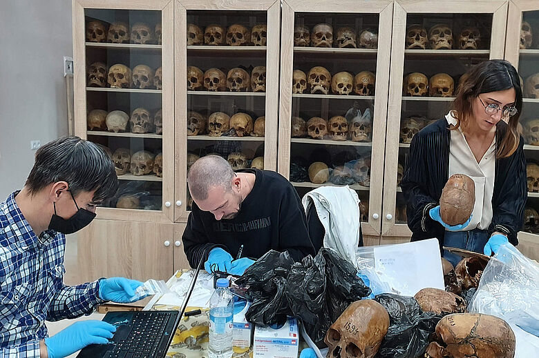 Anthropologische Sammlung der Universität Tiflis