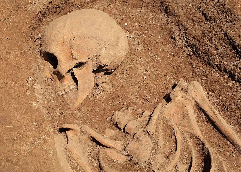 Menschliche Überreste von der Grabung in Toshbuloq, Usbekistan