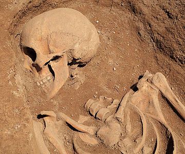 Menschliche Überreste von der Grabung in Toshbuloq, Usbekistan
