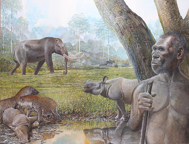 Pleistozäne Savanne in Südostasien