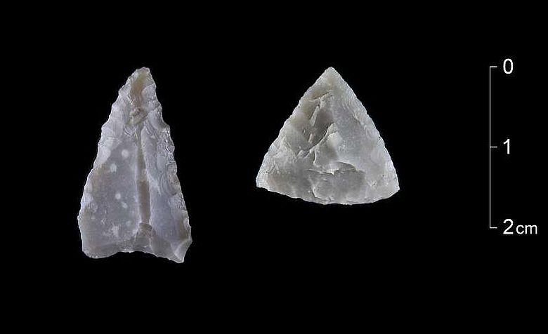 Zwei Pfeilspitzen, die typisch für die mittlere Phase der Jungsteinzeit vor etwa 6500 Jahren sind. Der Feuerstein für das linke Stück stammt aus Belgien. (Foto: LWL/H. Menne)