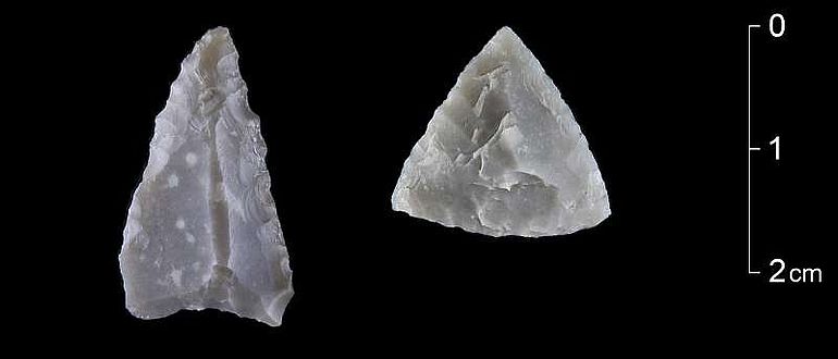 Zwei Pfeilspitzen, die typisch für die mittlere Phase der Jungsteinzeit vor etwa 6500 Jahren sind. Der Feuerstein für das linke Stück stammt aus Belgien. (Foto: LWL/H. Menne)