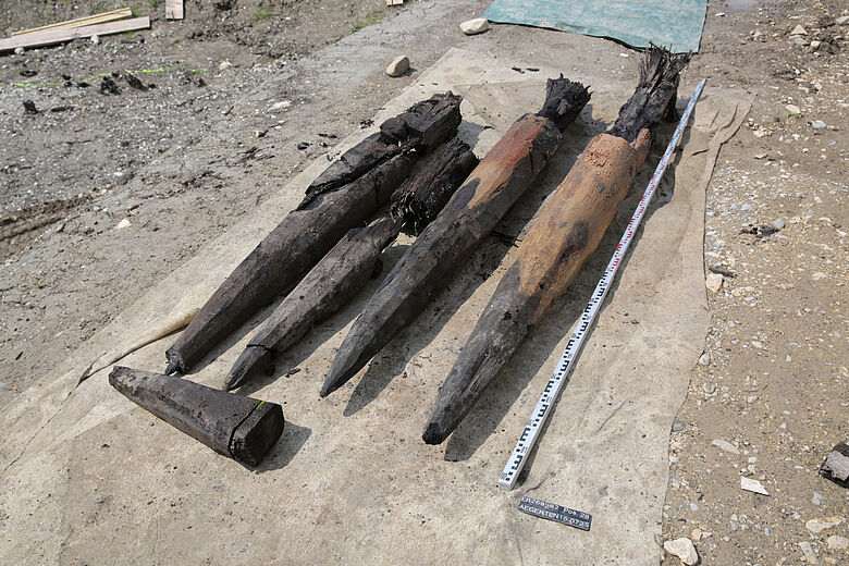 Eichenpfähle Eichenpfähle