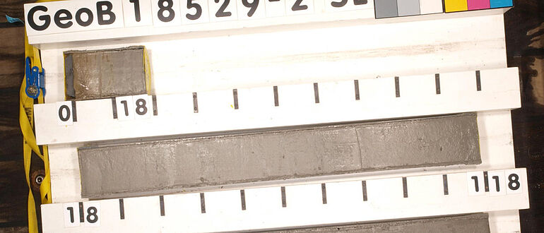 Sedimentkern aus dem Nordatlantik