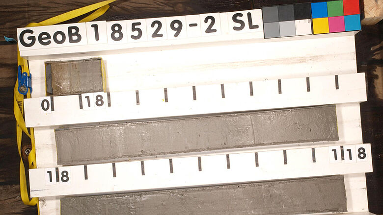 Sedimentkern aus dem Nordatlantik