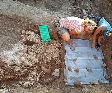 im freiliegenden Teil rechts eine hochaufragende Uferpflanze mit Blüten und kleinen grünen Blättern an den drei Stängeln, links unten noch das Heck und Ruder eines Bootes