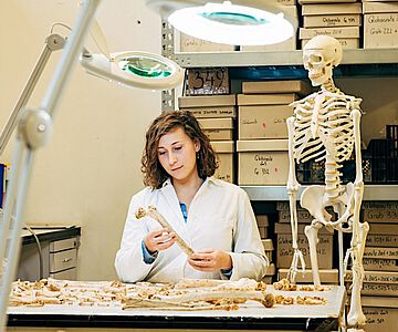 Die ÖAW-Archäologin Magdalena Srienc-Ściesiek bei der Untersuchung von Knochenfunden im Labor in Wien