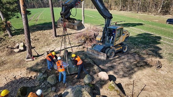 Wiederaufbau des Megalithgrabes Küsterberg
