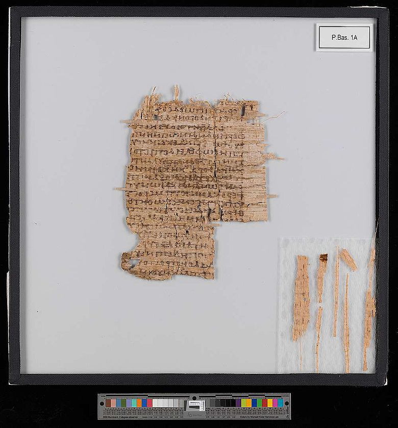 Der untersuchte Papyrus