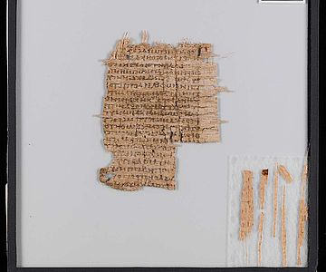 Der untersuchte Papyrus