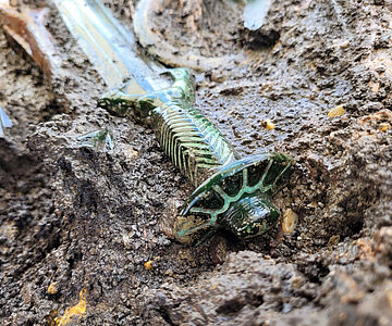 Bronzezeitliches Vollgriffschwert in Fundlage