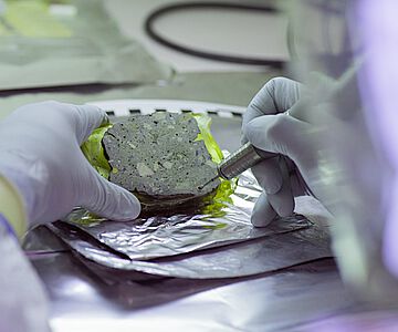 Entnahme einer Probe aus einem imprägnierten Sedimentblock für die Analyse alter DNA