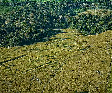 Erdwerke im Amazonasgebiet