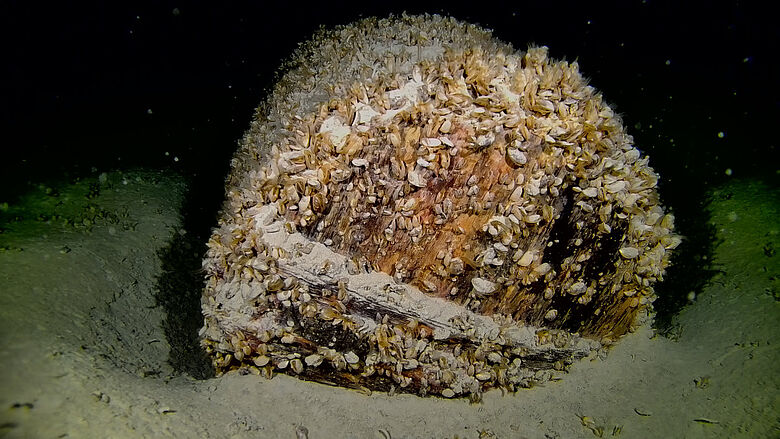 Holzfass am Grund des Bodensees Holzfass am Grund des Bodensees