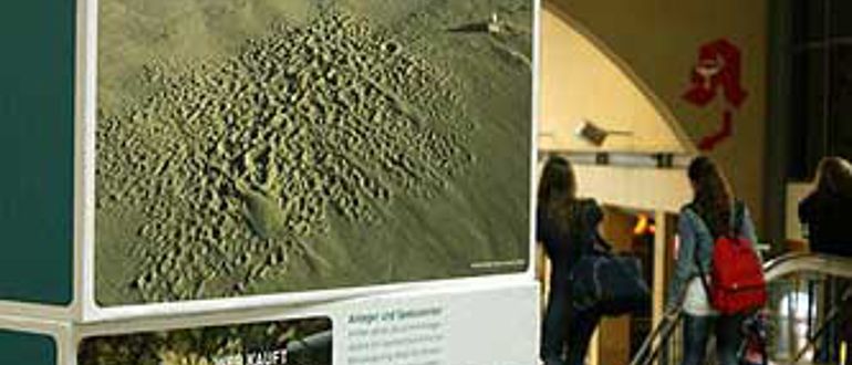 Ausstellung am Mainzer Hauptbahnhof (Foto: RGZM / Nitzsche)