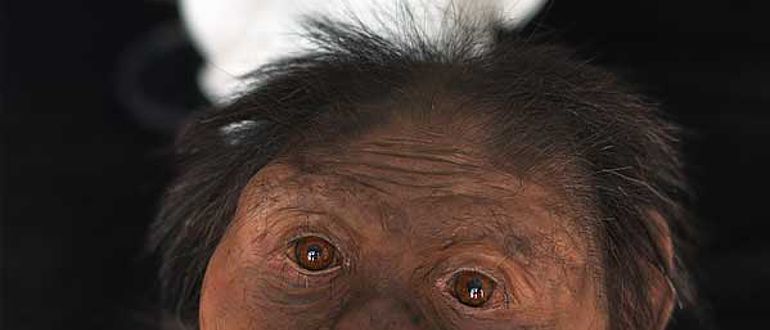 Rekonstruktion des weiblichen Ardipithecus ramidus durch das Senckenberg Forschungsinstitut © Senckenberg Gesellschaft