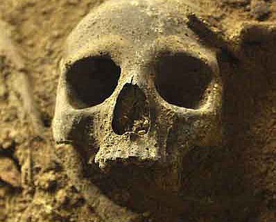 Gut erhaltener Schädel in der neu entdeckten südlichen Kammer