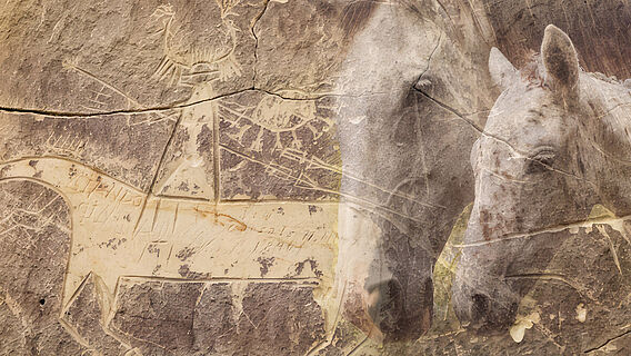 Fotomontage Felsbild, Pferde