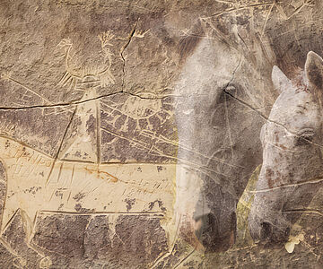 Fotomontage Felsbild, Pferde