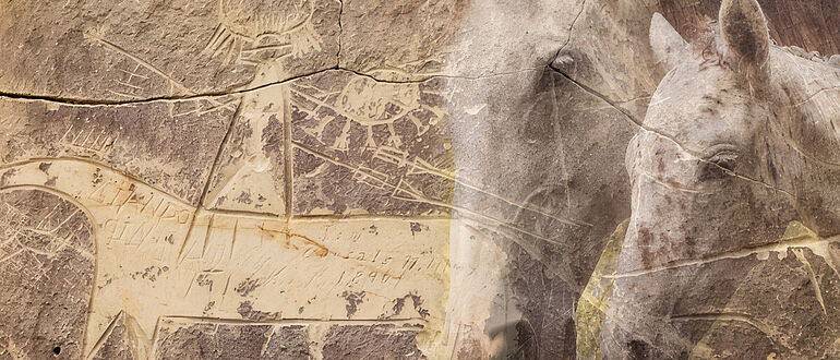 Fotomontage Felsbild, Pferde