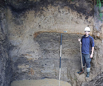 Freigelegter Stollen im Profil
