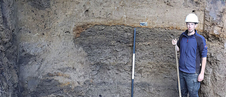 Freigelegter Stollen im Profil