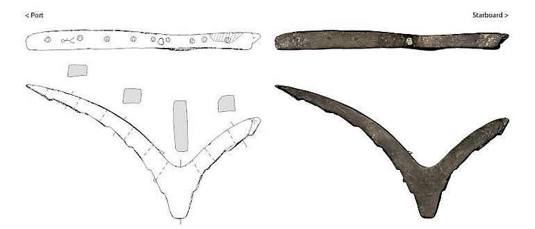 Beispiel für die hochgenaue Dokumentation eines Schiffsholzes Beispiel für die hochgenaue Dokumentation eines Schiffsholzes