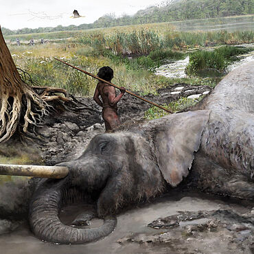 Neandertaler zerlegen Elefanten