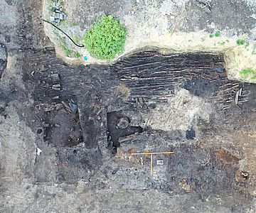 Das Drohnenfoto zeigt die flächige Lage von Ästen und dünnen Stämmen