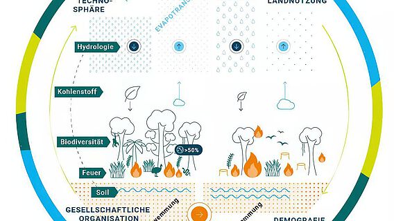 Infografik: Globale Vernetzung der Tropenwälder