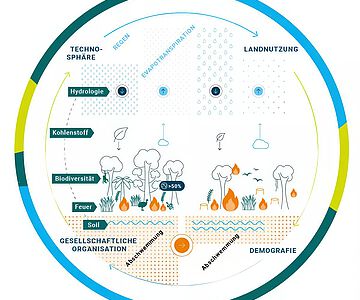 Infografik: Globale Vernetzung der Tropenwälder