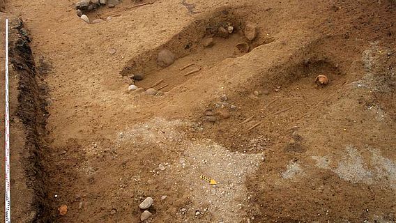 Gut zu erkennen sind die in Reihen angeordneten Grabgruben mit mehr oder weniger gut erhaltenen Bestattungen. (Foto: Kanton BE)