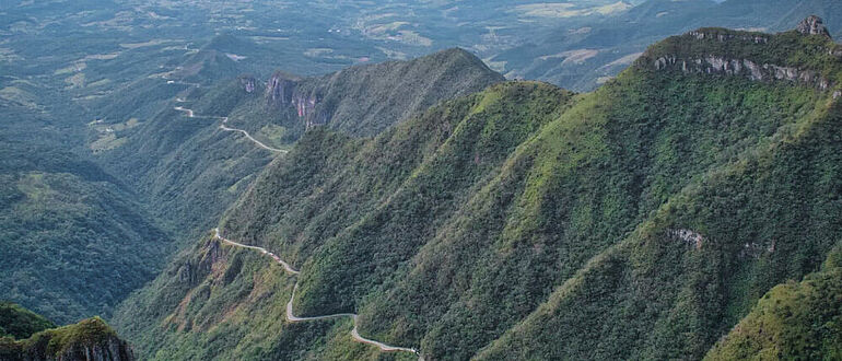 Atlantischer Regenwald