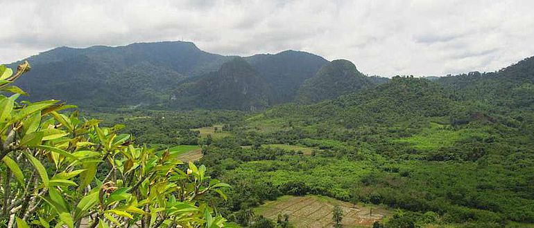 Das Tiefland der philippinischen Insel Palawan - Südostasien