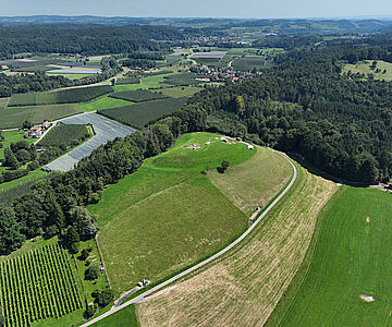 Übersicht über die Lenensburg mit Blick nach Nordosten Richtung Argen- und Schussental