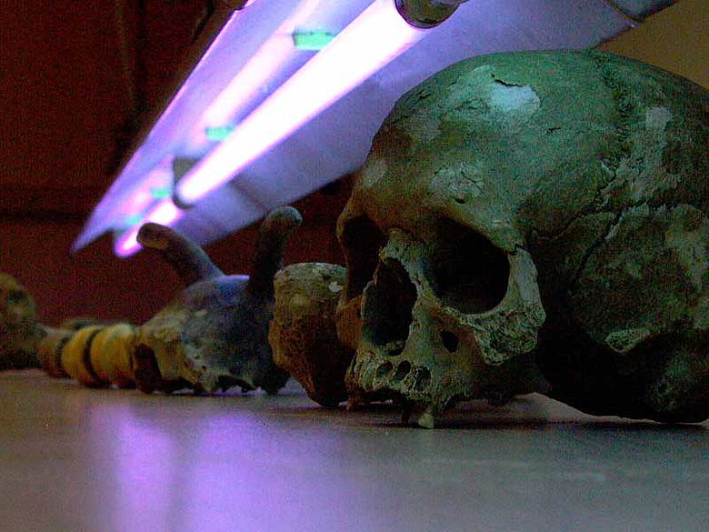 Prähistorische Funde werden UV-bestrahlt
