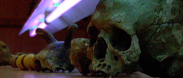 Prähistorische Funde werden UV-bestrahlt
