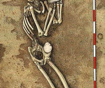 Zeichnung: Linienbandkeramische Bestattung von Derenburg