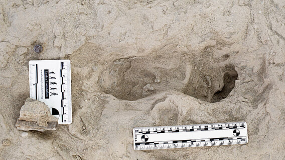 Fußabdruck eines Homo erectus
