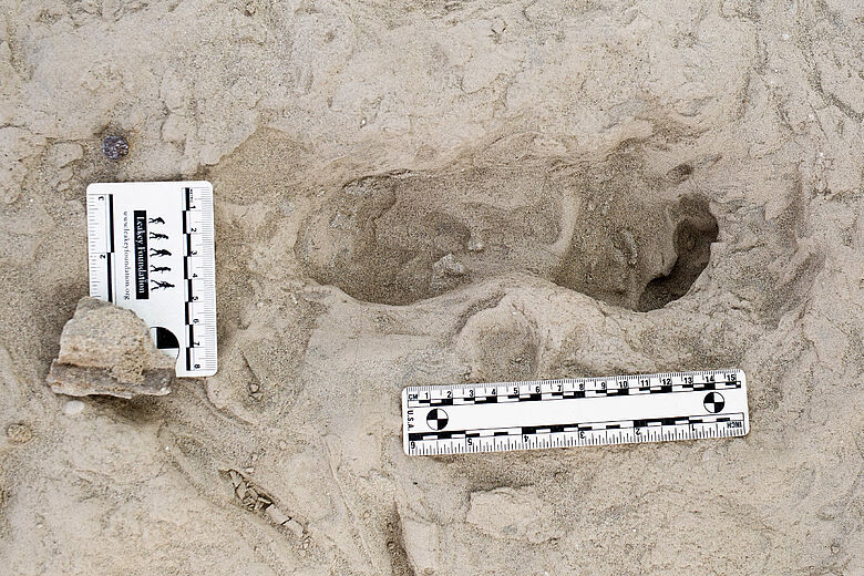 Fußabdruck eines Homo erectus
