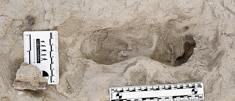 Fußabdruck eines Homo erectus
