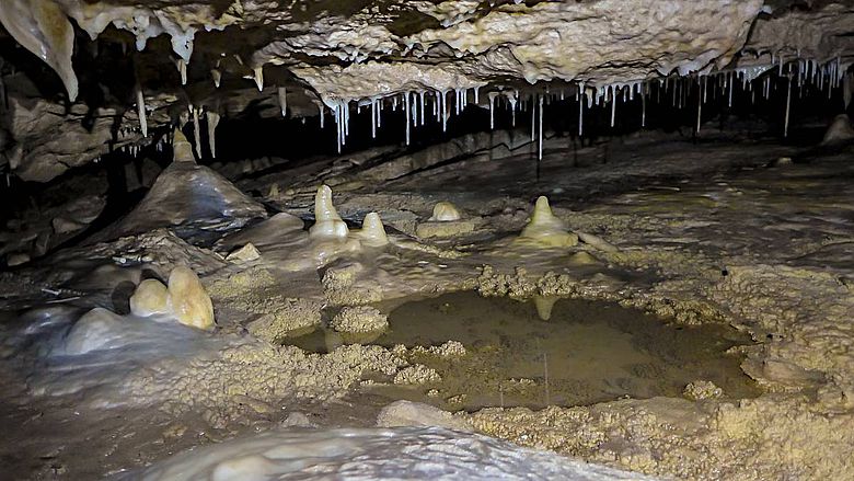Stalagmiten aus der La Vierge Höhle auf Rodrigues