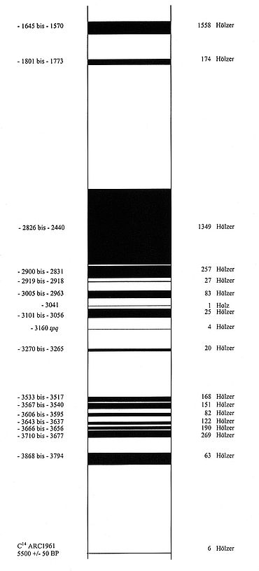 Dendrochronologische Datierung Dendrochronologische Datierung
