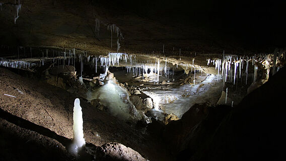 Herbstlabyrinth-Höhle