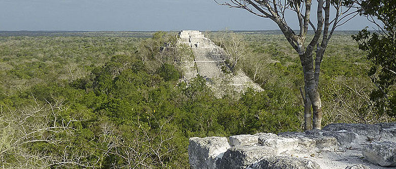 Die Pyramiden von Calakmul, eines der größten Zentren der Maya, erstrecken sich imposant über das Blätterdach des mexikanisch-guatemaltekischen Regenwalds Petén hinweg. Von hier aus wurde auch ein halbes Jahrhundert lang Uxul beherrscht, nur 30 Kilometer Luftlinie entfernt liegend (Foto: Ewald Graf) Die Pyramiden von Calakmul, eines der größten Zentren der Maya, erstrecken sich imposant über das Blätterdach des mexikanisch-guatemaltekischen Regenwalds Petén hinweg. Von hier aus wurde auch ein halbes Jahrhundert lang Uxul beherrscht, nur 30 Kilometer Luftlinie entfernt liegend (Foto: Ewald Graf)