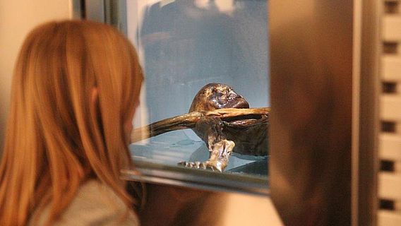 Der "Ötzi" bleibt natürlich die zentrale Sehenswürdigkeit des Museums in Bozen (&copy; Südtiroler Archäologiemuseum)