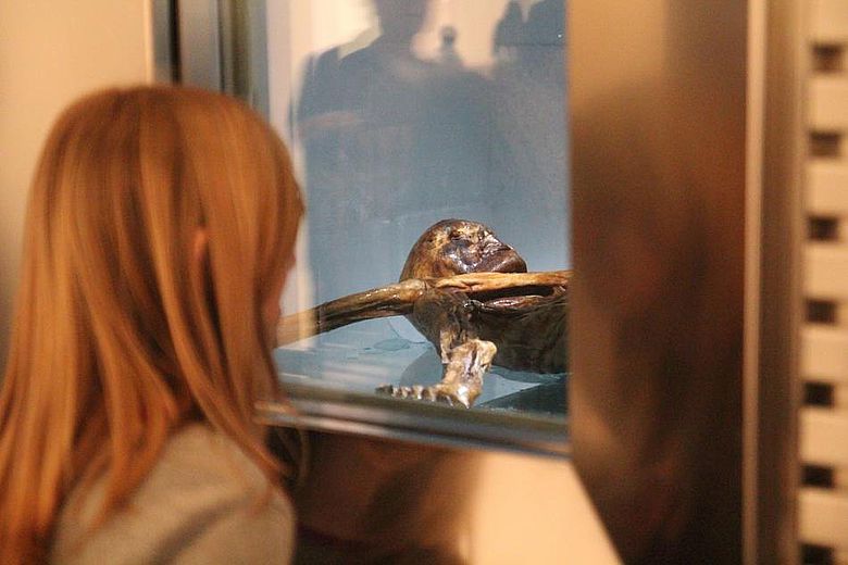 Der "Ötzi" bleibt natürlich die zentrale Sehenswürdigkeit des Museums in Bozen (&copy; Südtiroler Archäologiemuseum)